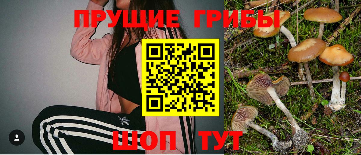 Холмск  Псилоцибиновые грибы прущие грибы  Псилоцибиновые грибы ЛСД  Вход с VPN 
