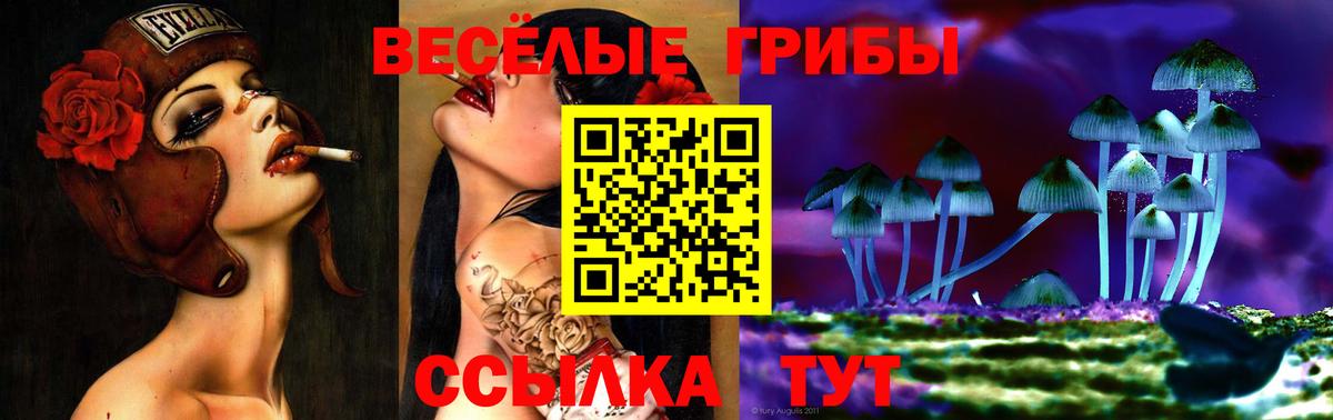 Галлюциногенные грибы мицелий Холмск